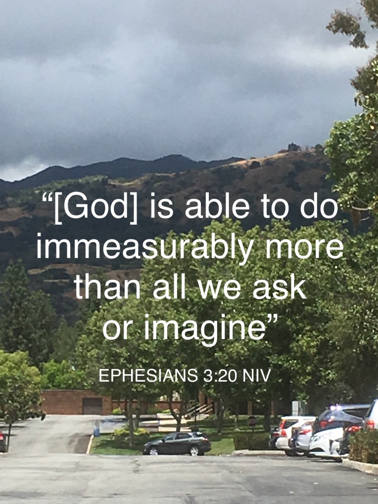 EF88EE62-F927-446F-8953-D0B2FCA22636