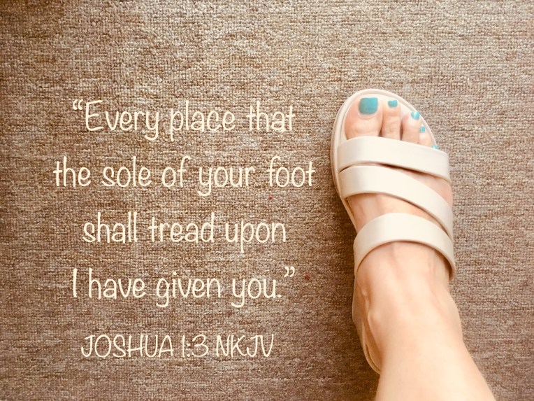 9F6E8A1F-EF02-4F9C-88DB-CDF95F47B1E0