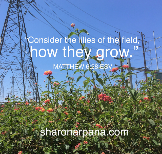 AAF594F5-2B0E-42CB-8FBB-2F8DB2076B7C