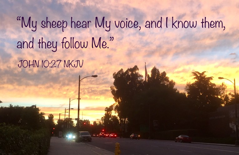 CB670CD8-3CA8-43B1-8B56-5E9353DD5AF7